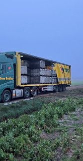 Internationaal oproep chauffeur