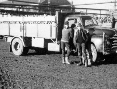 1966 - De jaarlijkse bietencampagne. Aad Bakker en Peter Steltenpool in Halfweg